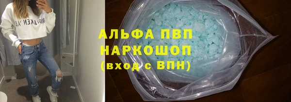 тгк Новокубанск