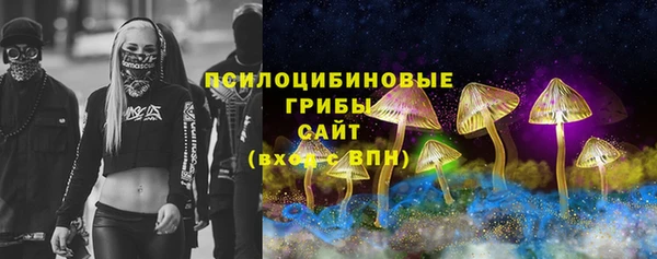 прущий лед Абаза